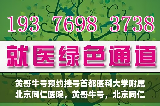 黄哥牛号预约挂号首都医科大学附属北京同仁医院，黄哥牛号，北京同仁医院预约挂号攻略