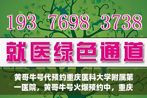 黄哥牛号代预约重庆医科大学附属第一医院，黄哥牛号火爆预约中，重庆医科大学附属第一医院开启预约新纪元