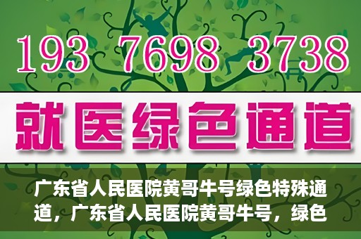 广东省人民医院黄哥牛号绿色特殊通道，广东省人民医院黄哥牛号，绿色特殊通道开启健康之门