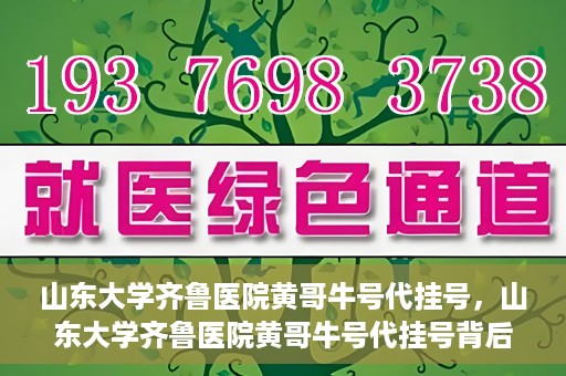 山东大学齐鲁医院黄哥牛号代挂号，山东大学齐鲁医院黄哥牛号代挂号背后的故事与探索
