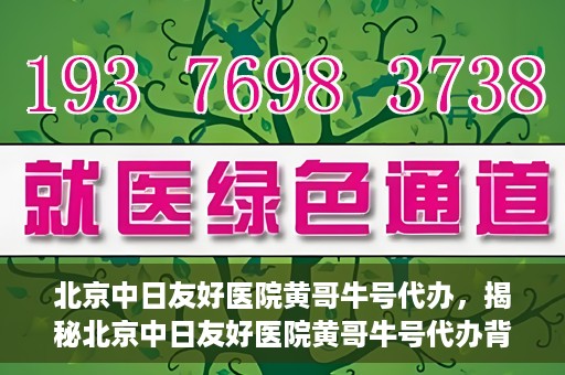 北京中日友好医院黄哥牛号代办，揭秘北京中日友好医院黄哥牛号代办背后的故事