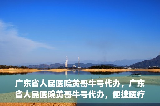 广东省人民医院黄哥牛号代办，广东省人民医院黄哥牛号代办，便捷医疗新途径