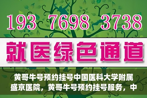 黄哥牛号预约挂号中国医科大学附属盛京医院，黄哥牛号预约挂号服务，中国医科大学附属盛京医院便捷就医新体验
