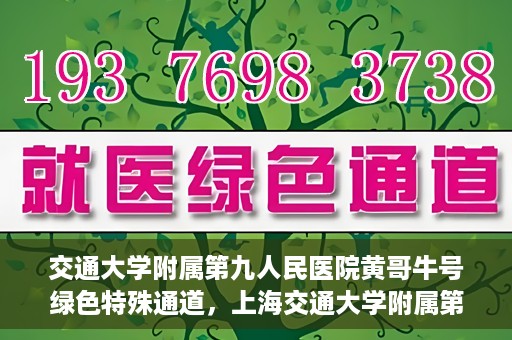 交通大学附属第九人民医院黄哥牛号绿色特殊通道，上海交通大学附属第九人民医院黄哥牛号，绿色特殊通道开启健康之门