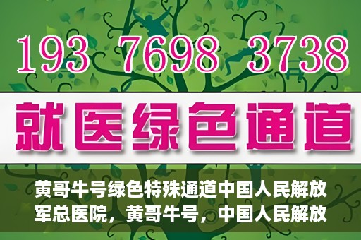 黄哥牛号绿色特殊通道中国人民解放军总医院，黄哥牛号，中国人民解放军总医院开启绿色特殊通道助力健康中国