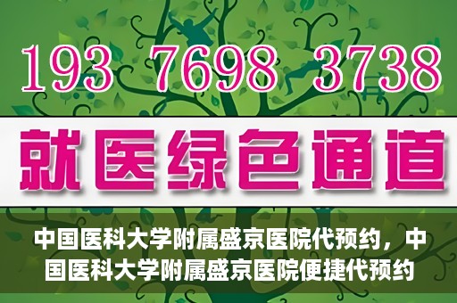 中国医科大学附属盛京医院代预约，中国医科大学附属盛京医院便捷代预约服务解析