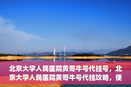 北京大学人民医院黄哥牛号代挂号，北京大学人民医院黄哥牛号代挂攻略，便捷就医新选择