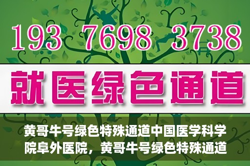 黄哥牛号绿色特殊通道中国医学科学院阜外医院，黄哥牛号绿色特殊通道，阜外医院的中国医学探索之旅