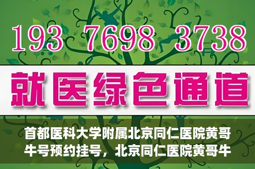 首都医科大学附属北京同仁医院黄哥牛号预约挂号，北京同仁医院黄哥牛号预约挂号攻略，专业医疗服务的便捷通道