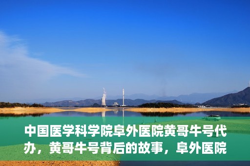 中国医学科学院阜外医院黄哥牛号代办，黄哥牛号背后的故事，阜外医院名医揭秘与医疗服务的深度解读