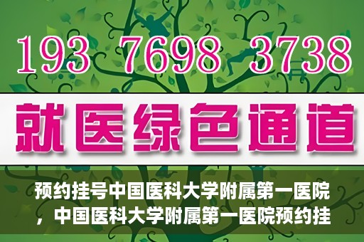 预约挂号中国医科大学附属第一医院，中国医科大学附属第一医院预约挂号系统启动，一站式服务助您轻松就医