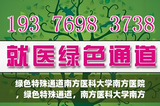 绿色特殊通道南方医科大学南方医院，绿色特殊通道，南方医科大学南方医院的探索与实践