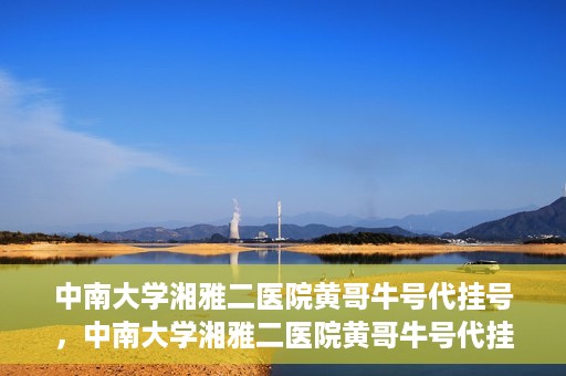 中南大学湘雅二医院黄哥牛号代挂号，中南大学湘雅二医院黄哥牛号代挂号，便捷就医背后的故事