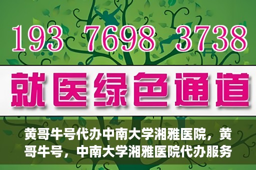 黄哥牛号代办中南大学湘雅医院，黄哥牛号，中南大学湘雅医院代办服务详解