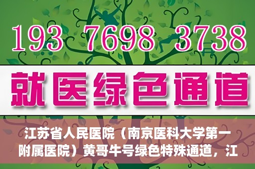 江苏省人民医院（南京医科大学第一附属医院）黄哥牛号绿色特殊通道，江苏省人民医院绿色特殊通道，黄哥牛号的医疗速度与温情服务