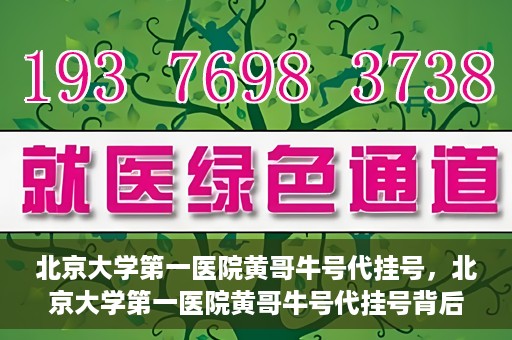 北京大学第一医院黄哥牛号代挂号，北京大学第一医院黄哥牛号代挂号背后的故事与真相探索