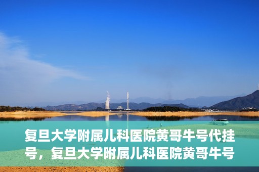 复旦大学附属儿科医院黄哥牛号代挂号，复旦大学附属儿科医院黄哥牛号代挂号解析，专业解读与挂号攻略