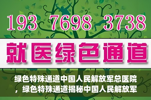 绿色特殊通道中国人民解放军总医院，绿色特殊通道揭秘中国人民解放军总医院的力量之源