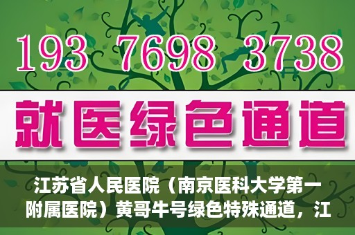 江苏省人民医院（南京医科大学第一附属医院）黄哥牛号绿色特殊通道，江苏省人民医院绿色特殊通道，黄哥牛号的医疗速度与温情服务