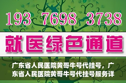 广东省人民医院黄哥牛号代挂号，广东省人民医院黄哥牛号代挂号服务详解