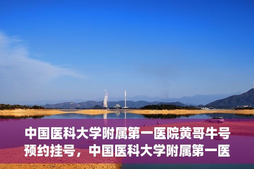 中国医科大学附属第一医院黄哥牛号预约挂号，中国医科大学附属第一医院黄哥牛号预约挂号指南，轻松挂号，健康无忧！