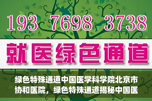 绿色特殊通道中国医学科学院北京市协和医院，绿色特殊通道揭秘中国医学科学院北京市协和医院的力量与担当