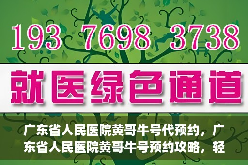 广东省人民医院黄哥牛号代预约，广东省人民医院黄哥牛号预约攻略，轻松掌握预约流程