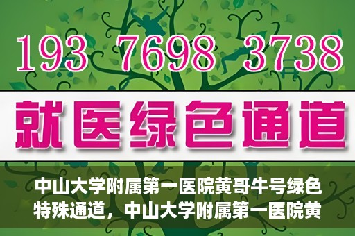 中山大学附属第一医院黄哥牛号绿色特殊通道，中山大学附属第一医院黄哥牛号，绿色特殊通道开启健康之门