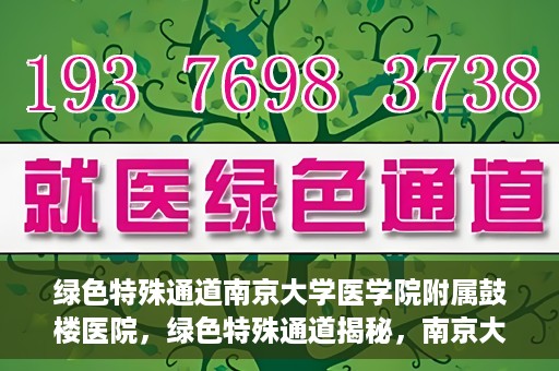 绿色特殊通道南京大学医学院附属鼓楼医院，绿色特殊通道揭秘，南京大学医学院附属鼓楼医院的探索与实践