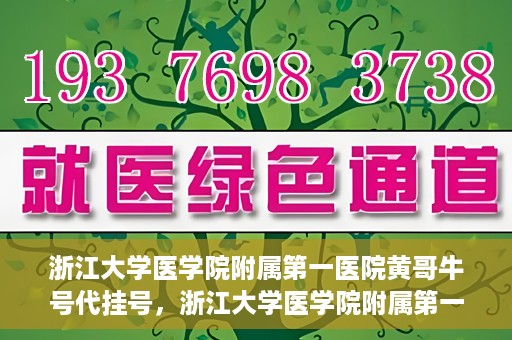 浙江大学医学院附属第一医院黄哥牛号代挂号，浙江大学医学院附属第一医院黄哥牛号代挂号服务解析