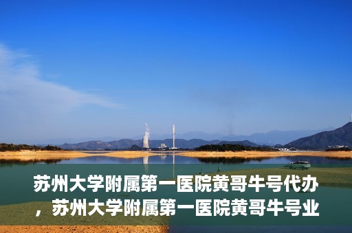 苏州大学附属第一医院黄哥牛号代办，苏州大学附属第一医院黄哥牛号业务代办攻略