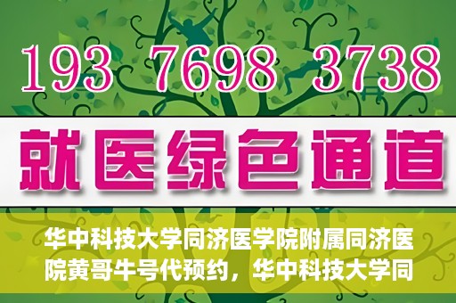 华中科技大学同济医学院附属同济医院黄哥牛号代预约，华中科技大学同济医院黄哥牛号预约服务解析