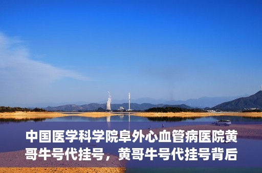 中国医学科学院阜外心血管病医院黄哥牛号代挂号，黄哥牛号代挂号背后的故事，阜外心血管病医院的探索与挑战