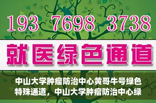 中山大学肿瘤防治中心黄哥牛号绿色特殊通道，中山大学肿瘤防治中心绿色特殊通道——黄哥牛号的守护力量