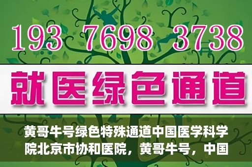 黄哥牛号绿色特殊通道中国医学科学院北京市协和医院，黄哥牛号，中国医学科学院北京市协和医院开启绿色特殊通道助力健康前行
