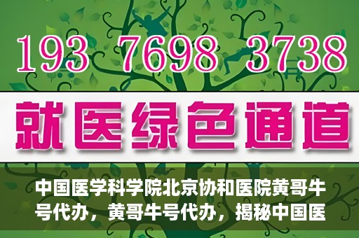 中国医学科学院北京协和医院黄哥牛号代办，黄哥牛号代办，揭秘中国医学科学院北京协和医院背后的故事