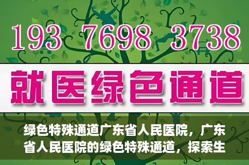 绿色特殊通道广东省人民医院，广东省人民医院的绿色特殊通道，探索生命的新路径