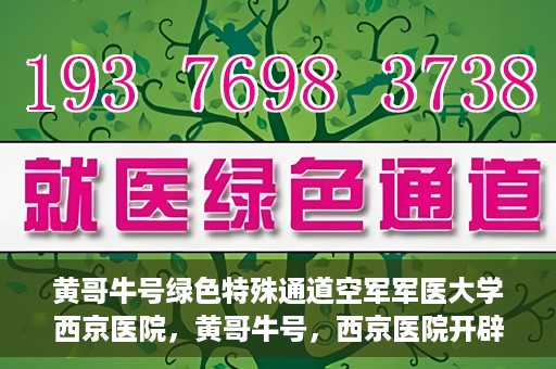 黄哥牛号绿色特殊通道空军军医大学西京医院，黄哥牛号，西京医院开辟绿色特殊通道，空军军医大学的使命与担当