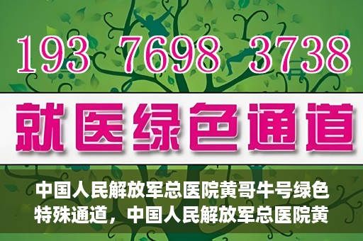 中国人民解放军总医院黄哥牛号绿色特殊通道，中国人民解放军总医院黄哥牛号，绿色特殊通道开启健康之门