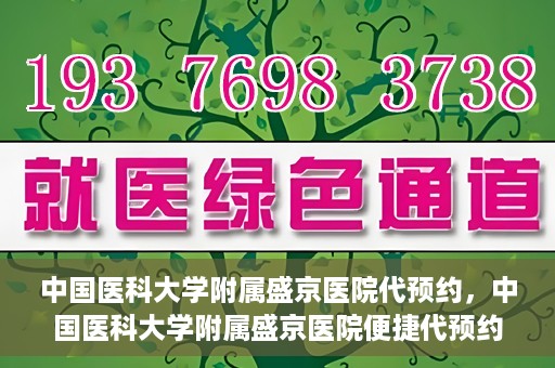 中国医科大学附属盛京医院代预约，中国医科大学附属盛京医院便捷代预约服务解析