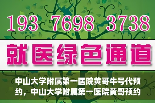 中山大学附属第一医院黄哥牛号代预约，中山大学附属第一医院黄哥预约挂号攻略，轻松预约牛号代预约服务