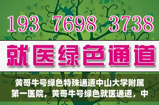 黄哥牛号绿色特殊通道中山大学附属第一医院，黄哥牛号绿色就医通道，中山大学附属第一医院的实践探索