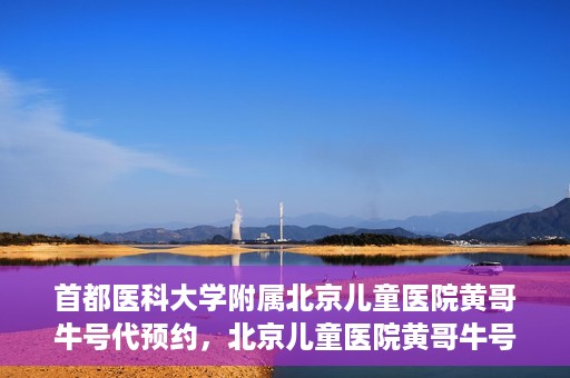 首都医科大学附属北京儿童医院黄哥牛号代预约，北京儿童医院黄哥牛号预约服务，专业便捷的健康守护使者