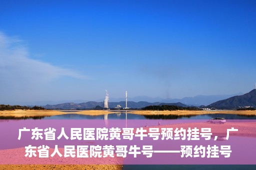 广东省人民医院黄哥牛号预约挂号，广东省人民医院黄哥牛号——预约挂号攻略