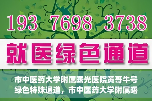 市中医药大学附属曙光医院黄哥牛号绿色特殊通道，市中医药大学附属曙光医院黄哥牛号，绿色特殊通道开启健康之门