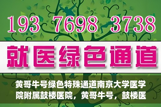 黄哥牛号绿色特殊通道南京大学医学院附属鼓楼医院，黄哥牛号，鼓楼医院开启绿色特殊通道助力健康之路