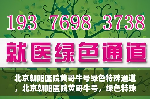 北京朝阳医院黄哥牛号绿色特殊通道，北京朝阳医院黄哥牛号，绿色特殊通道开启健康之门
