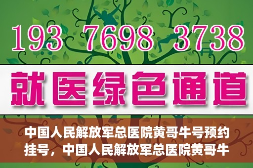 中国人民解放军总医院黄哥牛号预约挂号，中国人民解放军总医院黄哥牛号预约挂号攻略解析