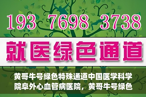 黄哥牛号绿色特殊通道中国医学科学院阜外心血管病医院，黄哥牛号绿色就医通道，中国医学科学院阜外心血管病医院的探索与实践