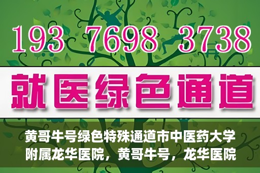 黄哥牛号绿色特殊通道市中医药大学附属龙华医院，黄哥牛号，龙华医院开启绿色特殊通道，倡导中医药文化传承